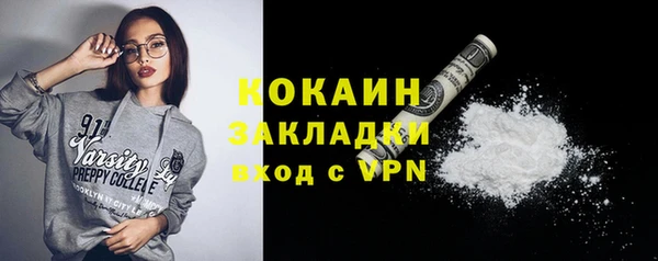 крисы Кулебаки