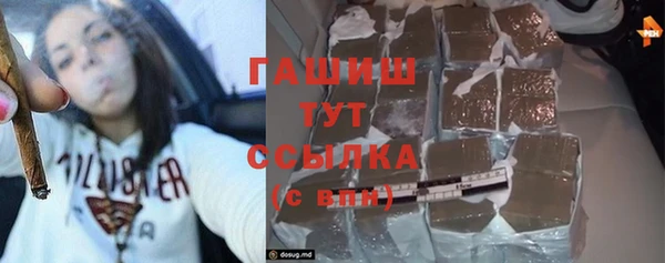 крисы Кулебаки