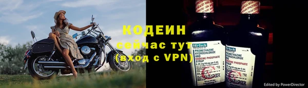 прущие грибы Кукмор