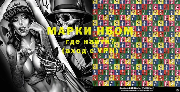 прущие грибы Кукмор