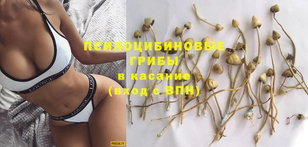 прущие грибы Кукмор