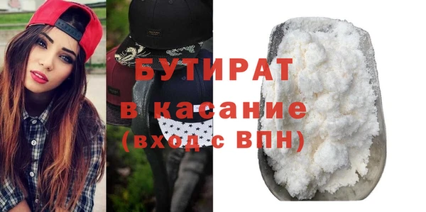 крисы Кулебаки