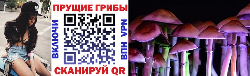 Галлюциногенные грибы Magic Shrooms  Купить где  Ленинск-Кузнецкий 
